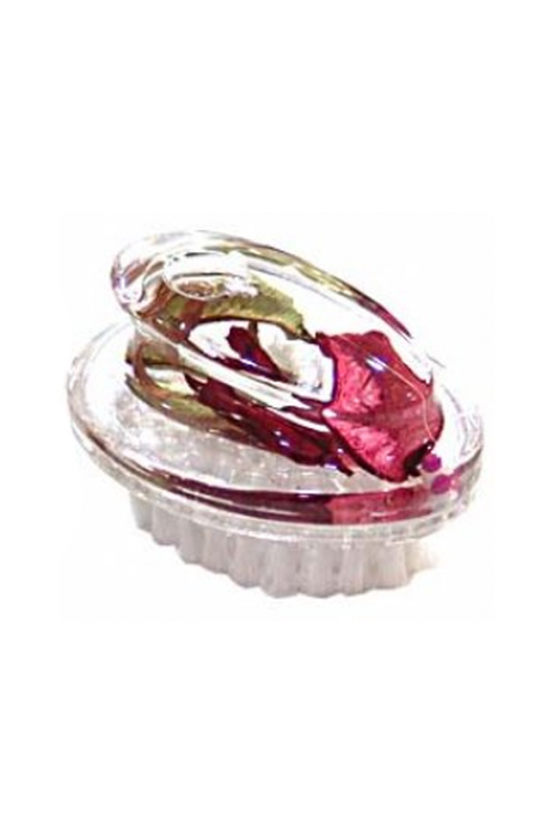 ROSE ACRYLIC NAIL BRUSH - CLEARANCE STOCK - BULK PURCHASE
<p>DECORATIVE ACRYLIC ROSE NAILBRUSH WITH BEAUTIFUL FLOATING ROSE PETALS IN ATTRACTIVE ACRYLIC BATHROOM ACCESSORIES, A BEAUTIFUL ADDITION TO ANY BATHROOM. 8 X 6 X 5</p>
Decorative Acrylic Rose Nail Brush with beautiful floating rose petals. Attractive addition to any bathroom. 8 x 6 x 5 Quality natural handmade soaps, candle, home, bathroom & beauty products make great gift ideas for him & her for any occasion or if you just want to treat yourself.