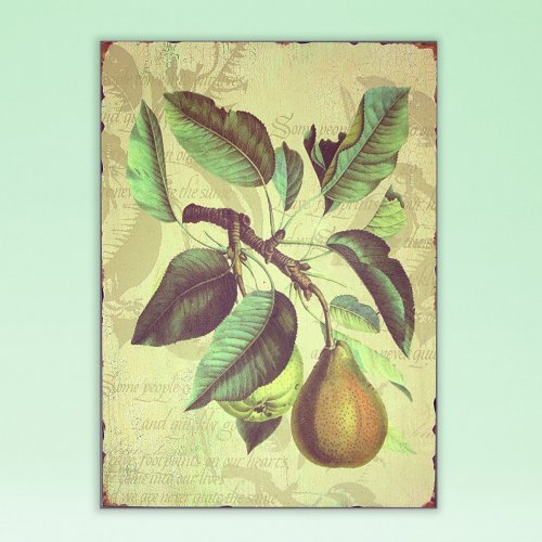 PLAQUE - FRUIT PEAR - <p>VINTAGE LOOK WOODEN WALL PLAQUE. GREAT DECORATOR ITEM FOR KITCHEN OR RESTAURANT. 25X35.5X1</p> Quality natural handmade soaps, candle, home, bathroom & beauty products make great gift ideas for him & her for any occasion or if you just want to treat yourself.