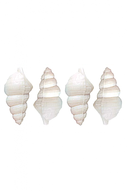 WHITE 42G SUZY SHELL SOAP - Suzy Shell soaps are conical shaped soaps. 9 x 4 x 4cm. Packed 63 per display.
**Please note that going forward, all shape soaps will be packaged in new white boxes, which are slightly smaller. This means the quantity of soaps per box have changed accordingly. Quality natural handmade soaps, candle, home, bathroom & beauty products make great gift ideas for him & her for any occasion or if you just want to treat yourself.