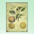  - PLAQUE - FRUIT LEMON - Gifts Ideas for Him & Her, Natural Handmade Soap, Candles | Clover Fields