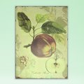  - PLAQUE - FRUIT APPLE - Gifts Ideas for Him & Her, Natural Handmade Soap, Candles | Clover Fields